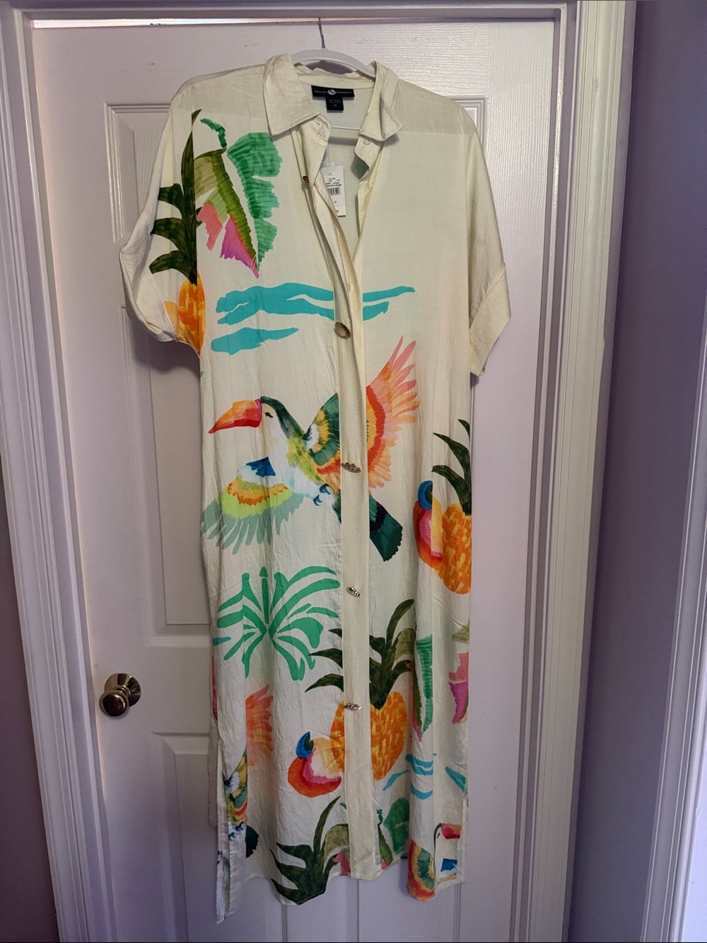 Multi-Colored Plus Size Dress